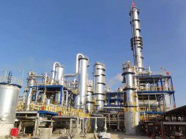 廣東順酐化工廢水處理工程